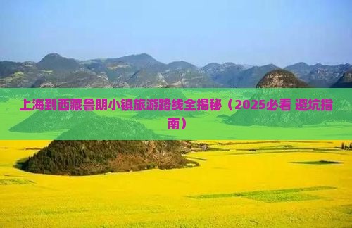 上海到西藏鲁朗小镇攻略