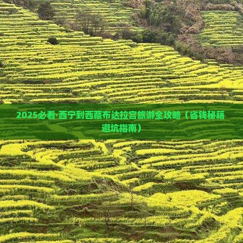 西宁去西藏布达拉宫自由团
