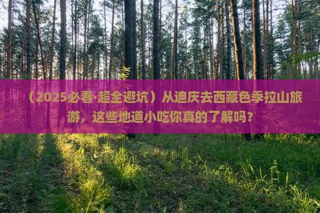 迪庆去西藏色季拉山旅游小吃