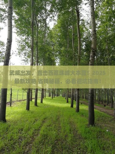 武威去西藏珠峰大本营哪里玩