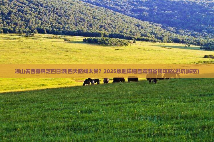 凉山去西藏林芝四日游