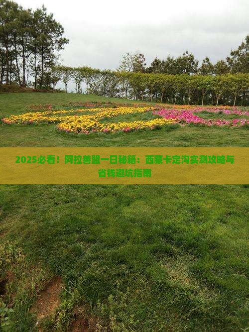阿拉善盟去西藏卡定沟一日