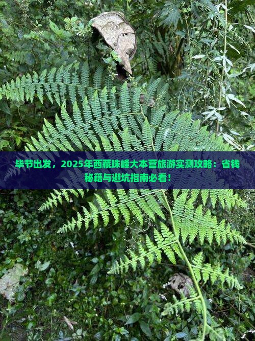 毕节去西藏珠峰大本营旅游
