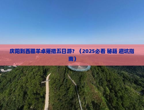 庆阳到西藏羊卓雍措五日游