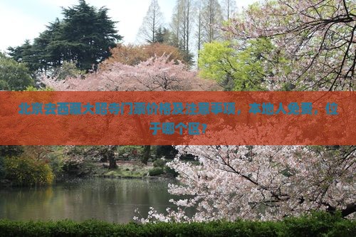 北京去西藏大昭寺门票
