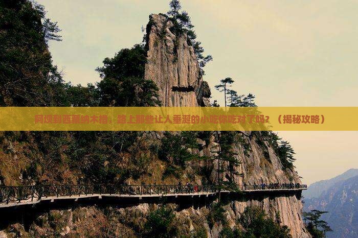 阿坝到西藏纳木措旅游小吃