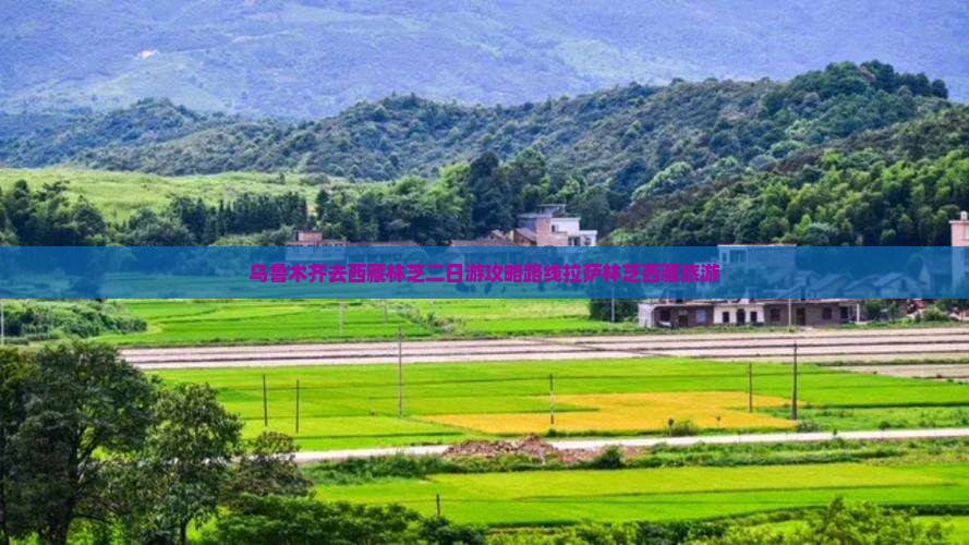乌鲁木齐去西藏林芝二日游