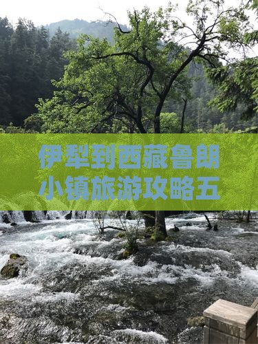 伊犁哈萨克到西藏鲁朗小镇五日游