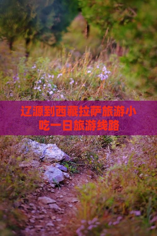 辽源到西藏拉萨旅游小吃