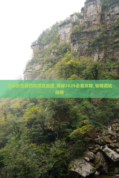 巴中去西藏巴松措自由团