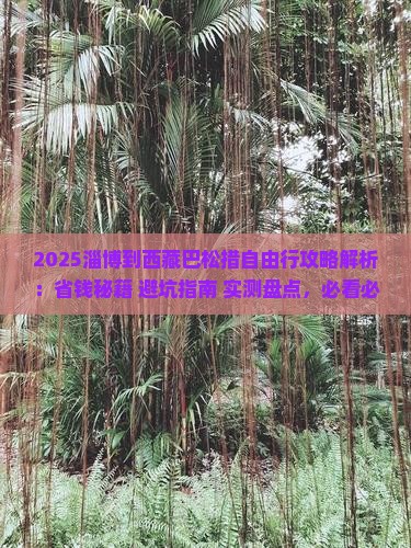 淄博到西藏巴松措自由行