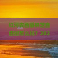 红河去西藏林芝自由团
