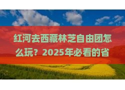 红河去西藏林芝自由团