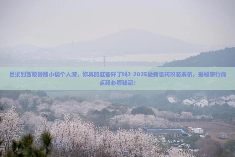 吕梁到西藏鲁朗小镇个人游