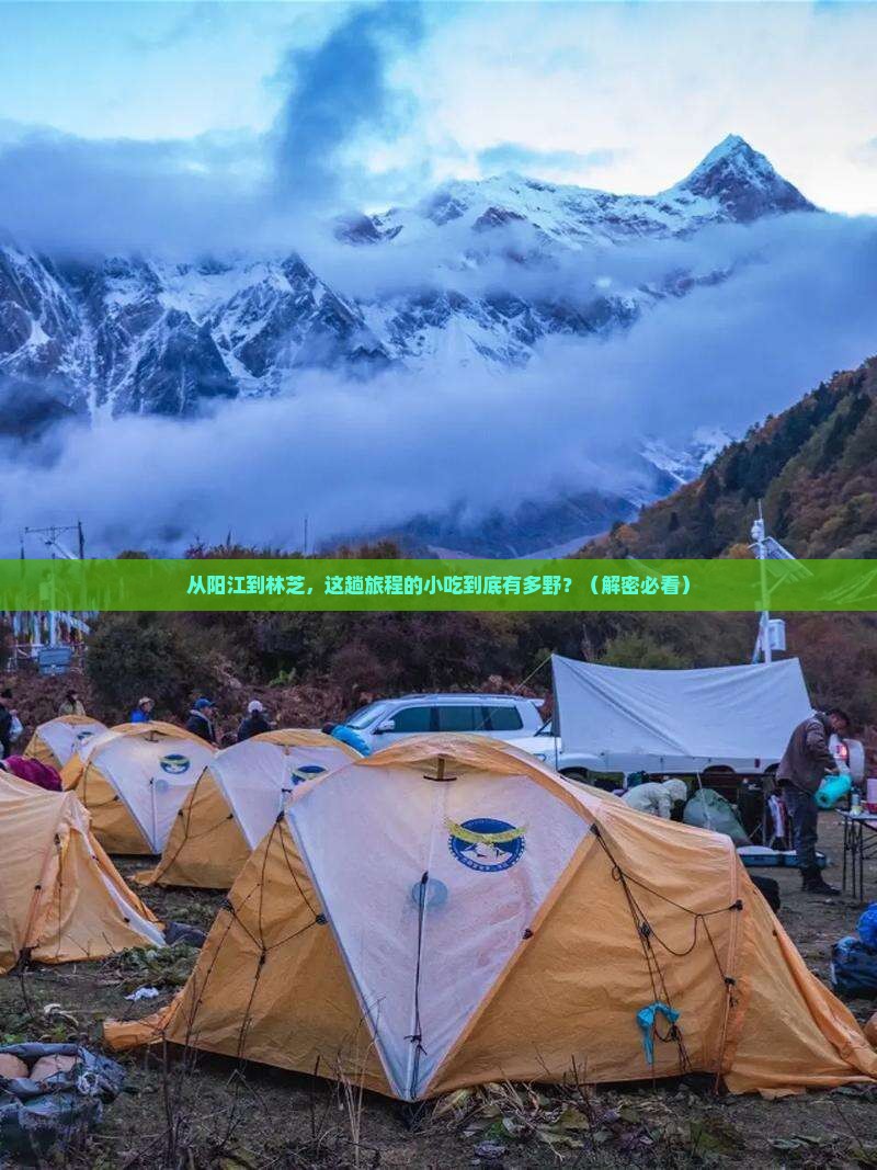 阳江到西藏林芝旅游小吃