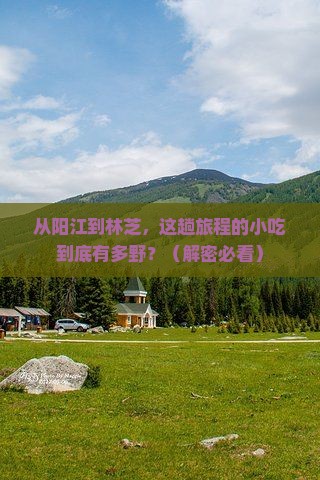 阳江到西藏林芝旅游小吃