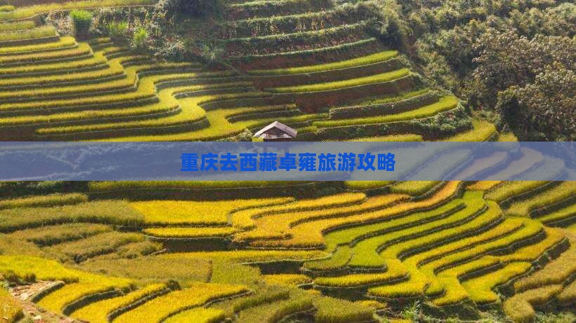 重庆去西藏羊卓雍措个人游