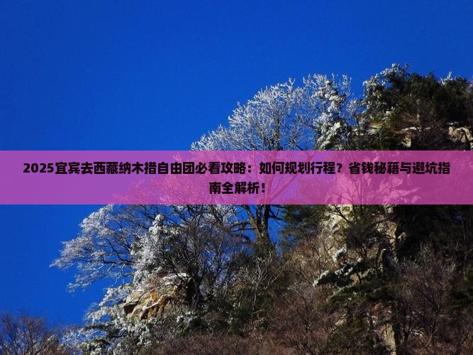 宜宾去西藏纳木措自由团