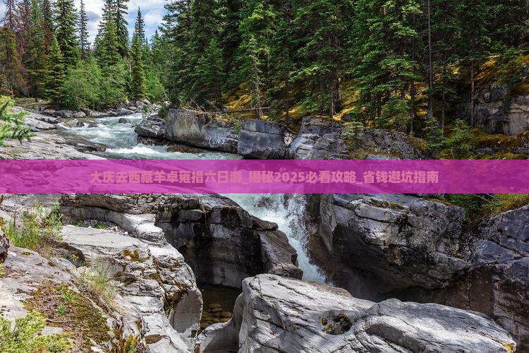 大庆去西藏羊卓雍措六日游