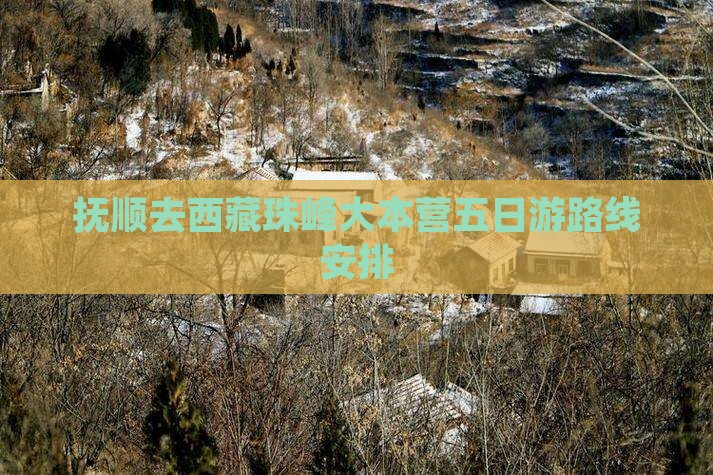 抚顺去西藏珠峰大本营五日游