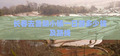长春去西藏鲁朗小镇一日