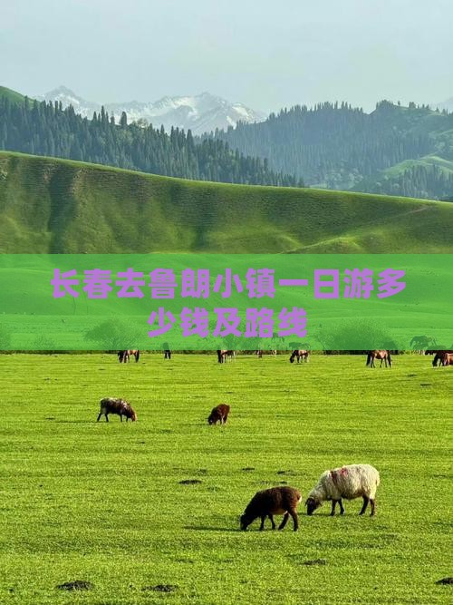 长春去西藏鲁朗小镇一日