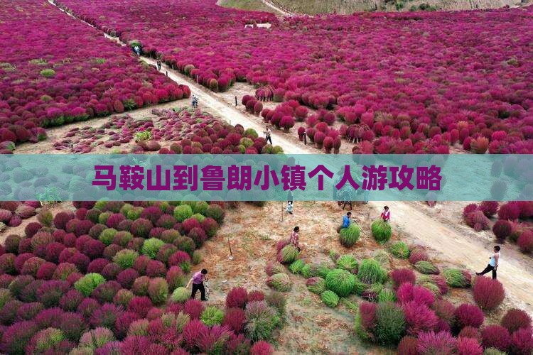 马鞍山到西藏鲁朗小镇个人游