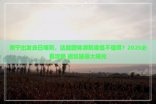 南宁到西藏日喀则团体旅游