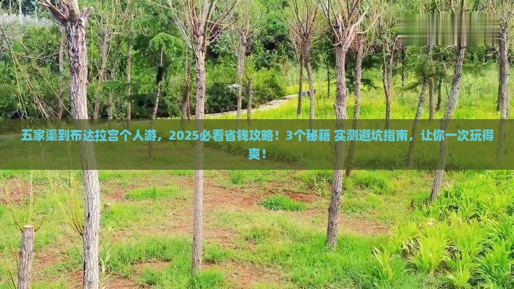 五家渠到西藏布达拉宫个人游
