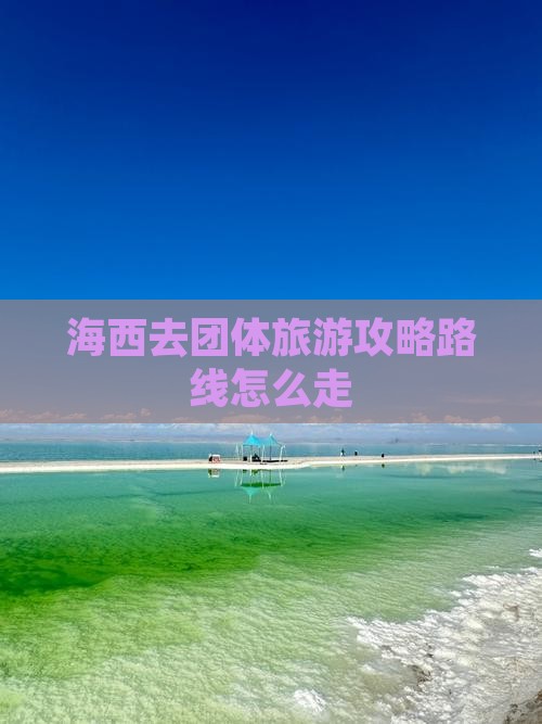 海西去西藏团体旅游