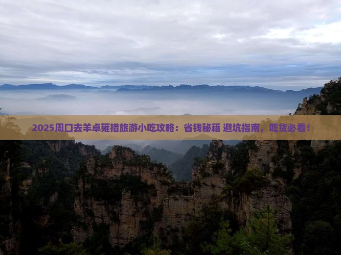 周口去西藏羊卓雍措旅游小吃