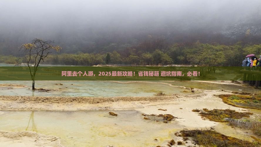 阿里去西藏个人游