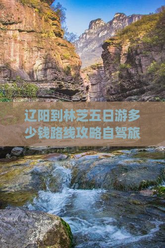 辽阳到西藏林芝五日游