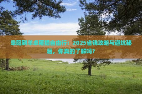 阜阳到西藏羊卓雍措自由行