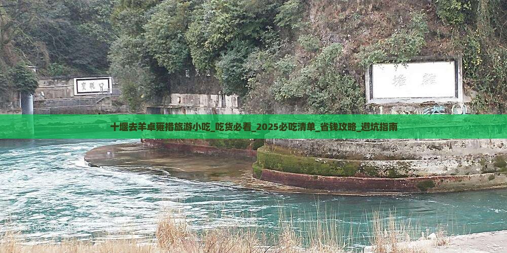十堰去西藏羊卓雍措旅游小吃