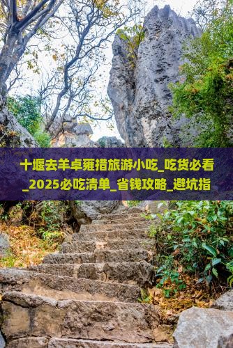 十堰去西藏羊卓雍措旅游小吃