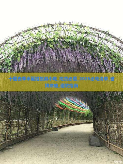 十堰去西藏羊卓雍措旅游小吃