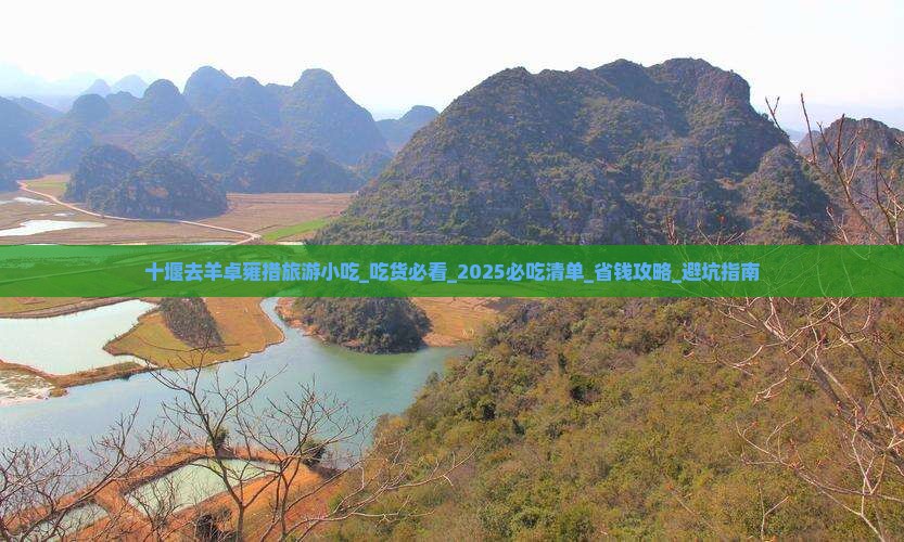 十堰去西藏羊卓雍措旅游小吃