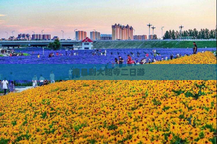 南昌到西藏大昭寺二日游