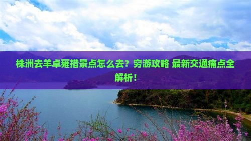 株洲去西藏羊卓雍措景点