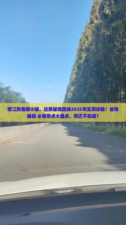 怒江到西藏鲁朗小镇景点