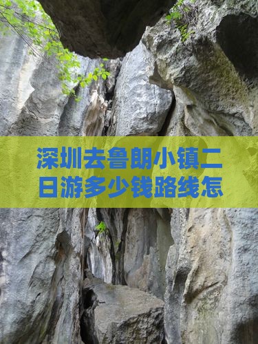 深圳去西藏鲁朗小镇二日游