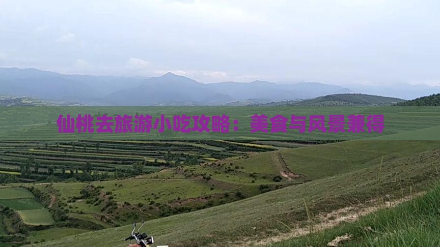 仙桃去旅游小吃攻略：美食与风景兼得