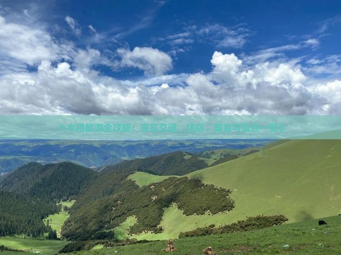 ∩木措旅游全攻略：来宾交通、住宿、美食与景点一览》
