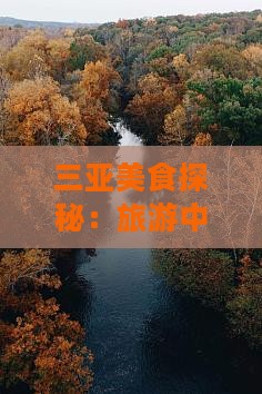 三亚美食探秘：旅游中的地道小吃之旅