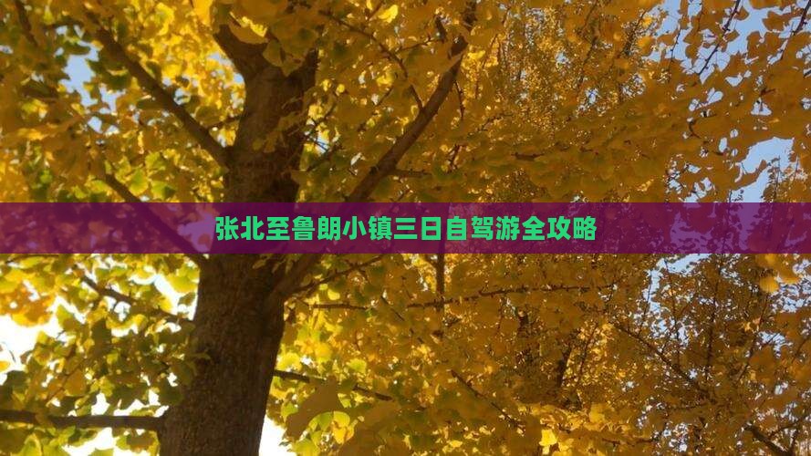 张北至鲁朗小镇三日自驾游全攻略