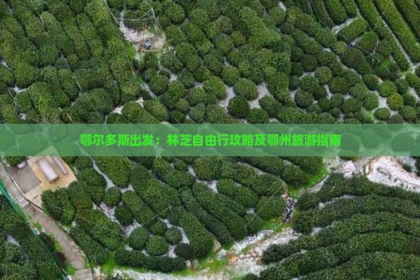 鄂尔多斯出发：林芝自由行攻略及鄂州旅游指南