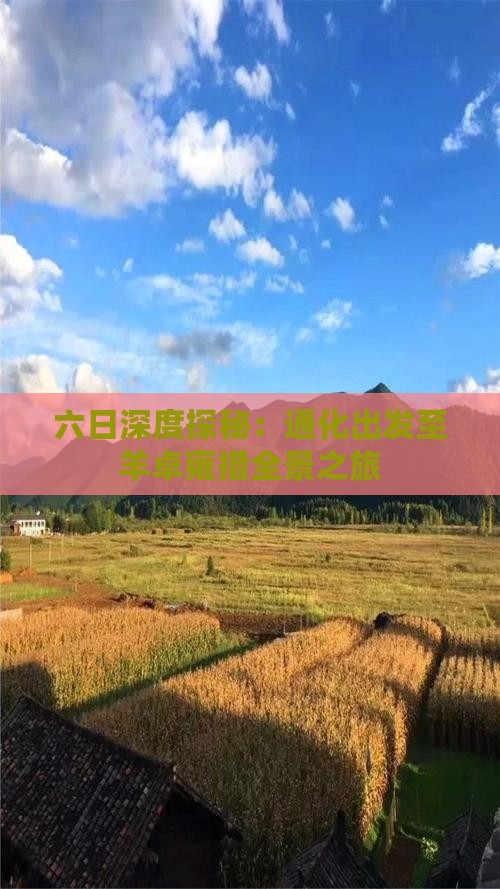 六日深度探秘：通化出发至羊卓雍措全景之旅