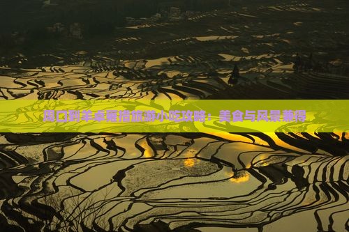 周口到羊卓雍措旅游小吃攻略：美食与风景兼得