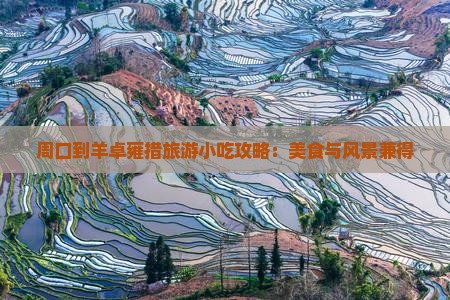 周口到羊卓雍措旅游小吃攻略：美食与风景兼得